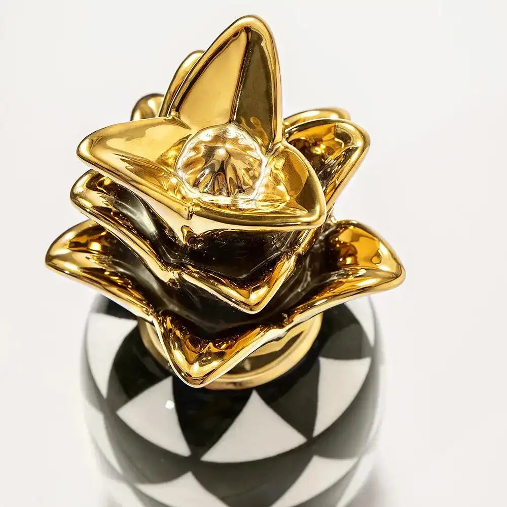 Pinya Arneson