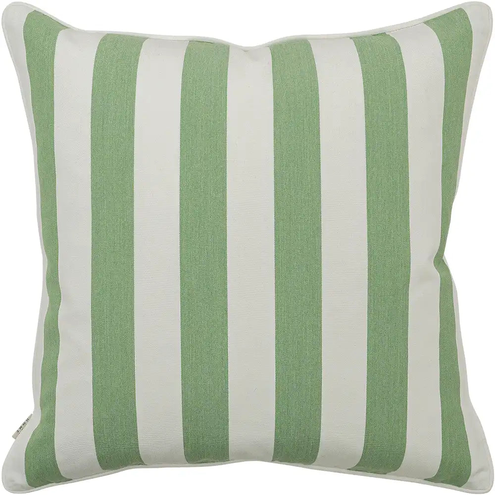 Aelia Pistachio