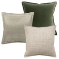 Aliva Bundle
