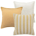 Ansh Bundle