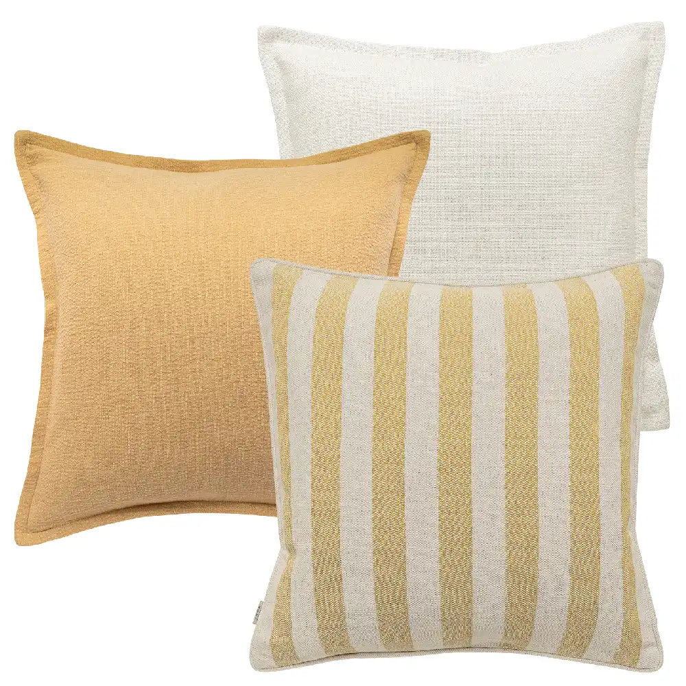Ansh Bundle
