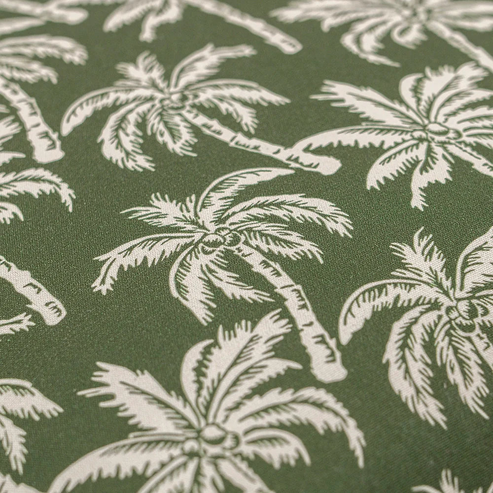 Aelia Palm