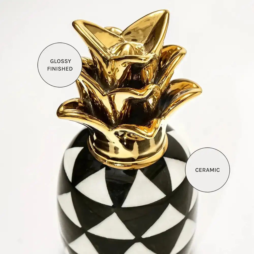 Pinya Arneson